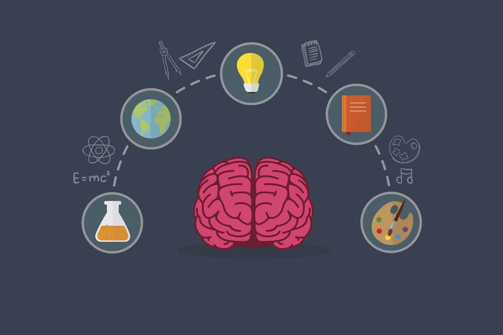 Education Concept, Brain Illustation